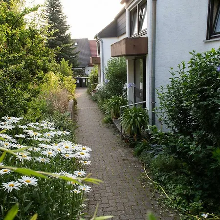 Gaestehaus Tannenhof Bad Bergzabern Exterior photo